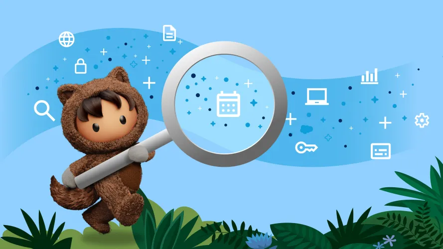 Salesforce CRM Solutions